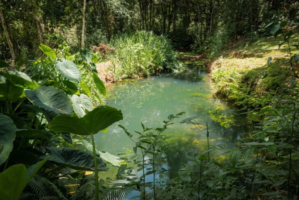 misiones agua
