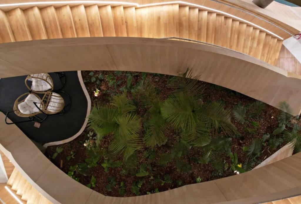 silicon misioens plantas