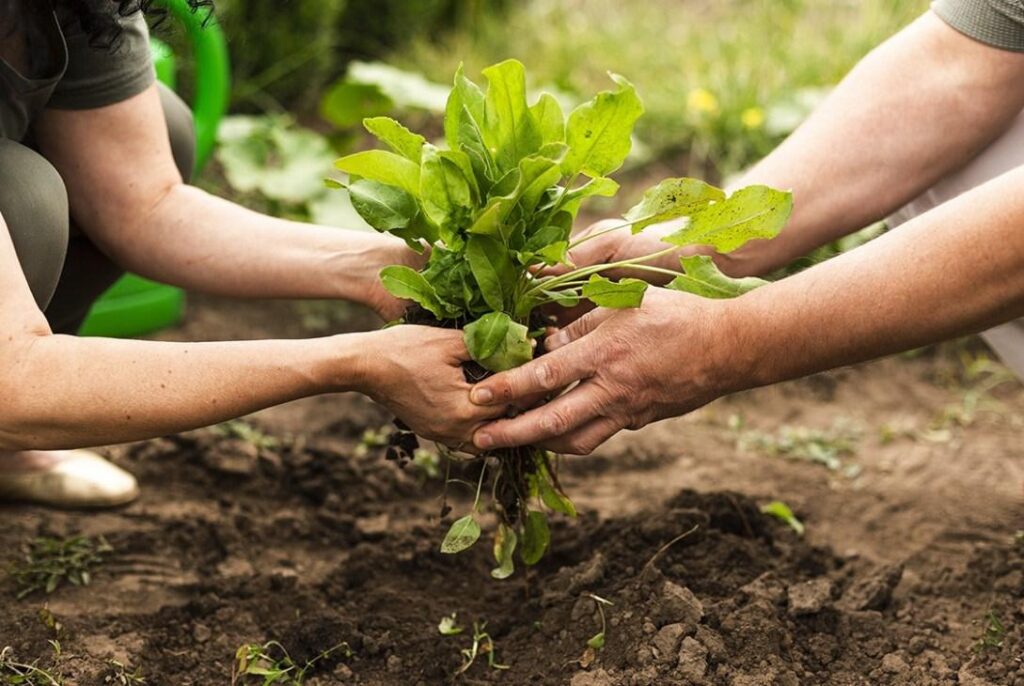 31a7616e-046c-463d-b7de-f78608f6f9e7