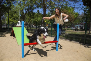 Screenshot-2023-09-08-at-21-16-01-Con-toboganes-y-bebederos-las-mascotas-tendran-su-espacio-en-las-plazas-Canal-Doce-Misiones