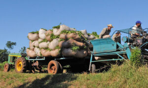 Sixto-Te-04-1089x647-1