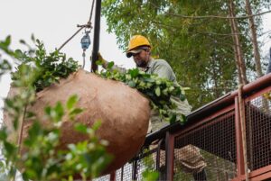 Imagen de WhatsApp 2024-01-14 a las 08.41.59_f23eed5b