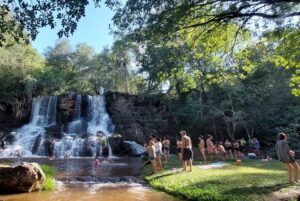 Agrocamping