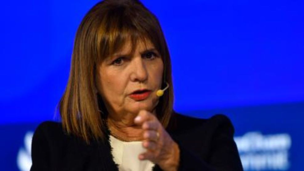 pato bullrich