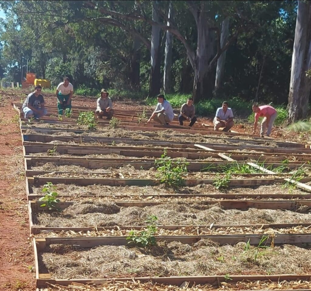 practicas-agricolas
