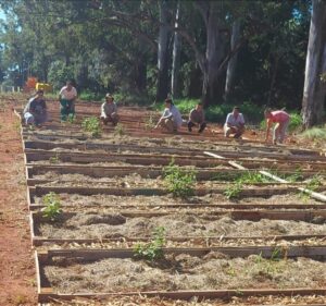 practicas-agricolas
