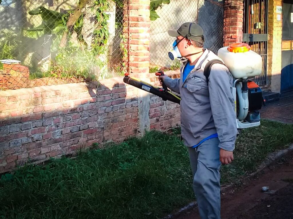 WhatsApp Image 2024-08-26 at 09.38.19