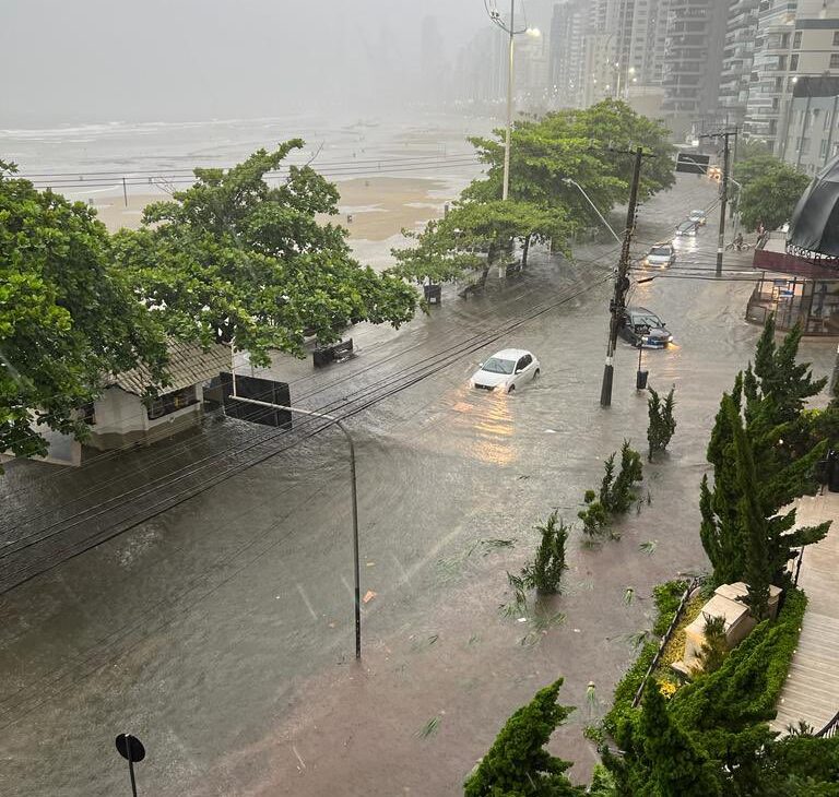 Fka6XXWWIAA9hcF-768x730 (1)