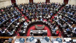 senado-discapacidad