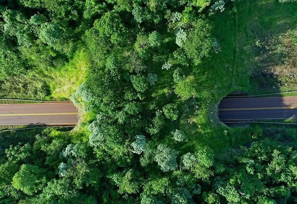 WhatsApp-Image-2025-12-14-at-09.10.21