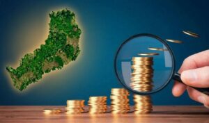 WhatsApp Image 2026-03-18 at 2.36.25 PM