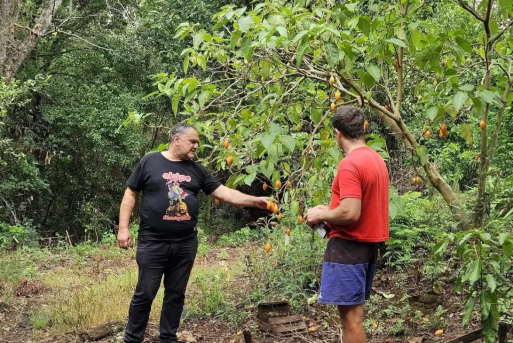 chacras-multiproductivas