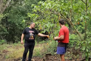 chacras-multiproductivas