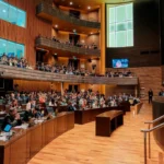 Opinión | Un hilo conductor